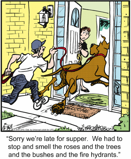 marmaduke